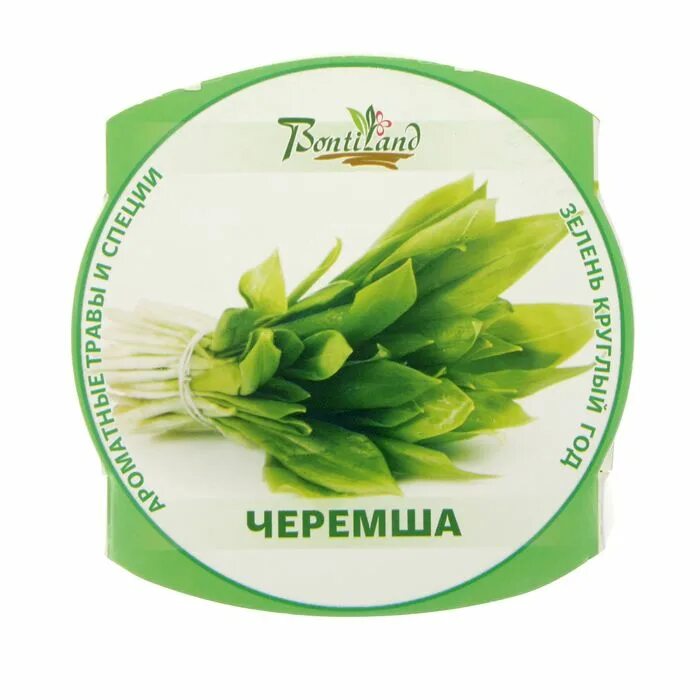 Песня черемша. Черемша. семена зелени круглый год. черемша для попугаев. растения зеленые круглый год.