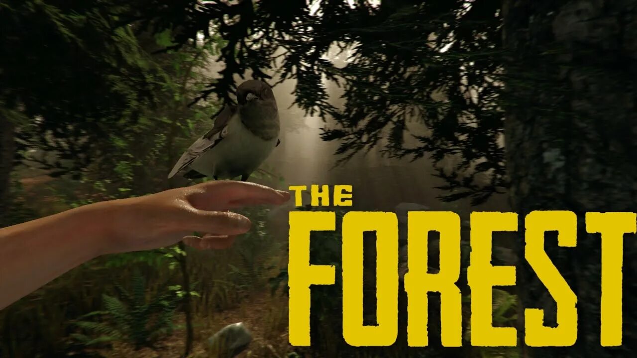 Как играть с друзьями в зе форест. Форест игра стрим. The Forest стрим. The Forest превью. The Forest 1 часть.