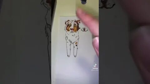 Бумажные собаки из тик тока