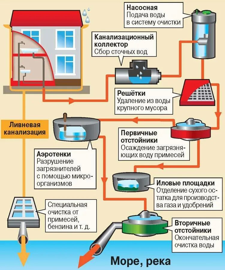 Городская система канализации схема. Как устроена система канализации в городе. Схема устройства централизованной канализации здания. Схема ливневой системы водоотведения. Уходит вода из системы