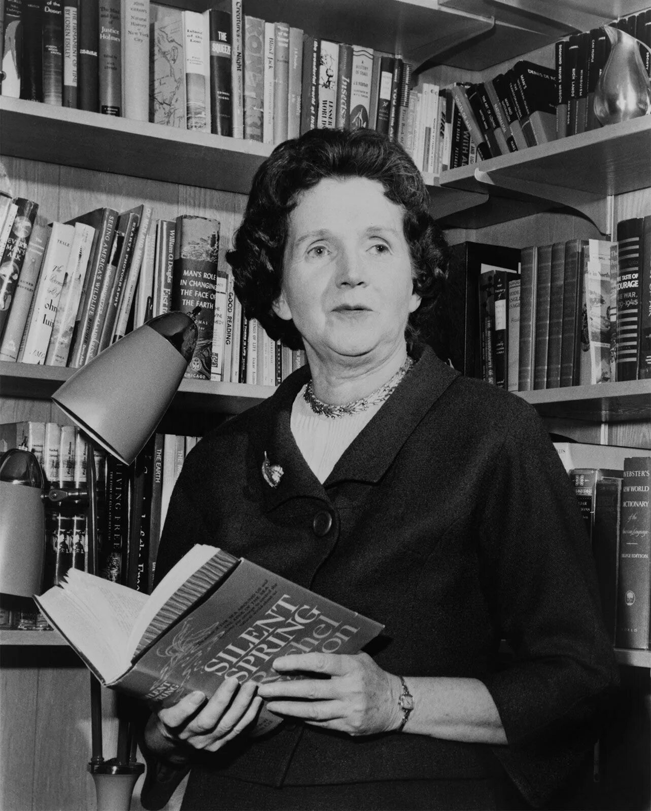 Книги американской писательницы. Рэйчел Карсон. Фото Rachel Carson. Рейчел Карсон американский биолог. Рейчел Карсон биография.