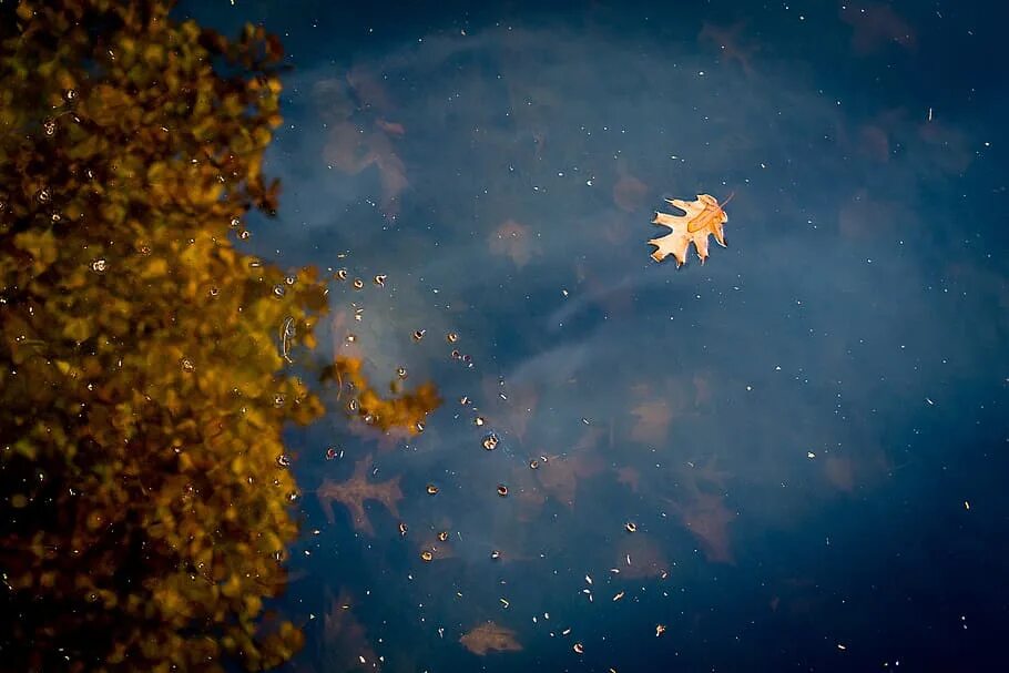 Падающие листья в воду. Осень космос. Космос осенние листья. Фон осенний космос. Космическое озеро.