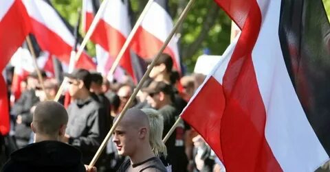 Ультраправые организации