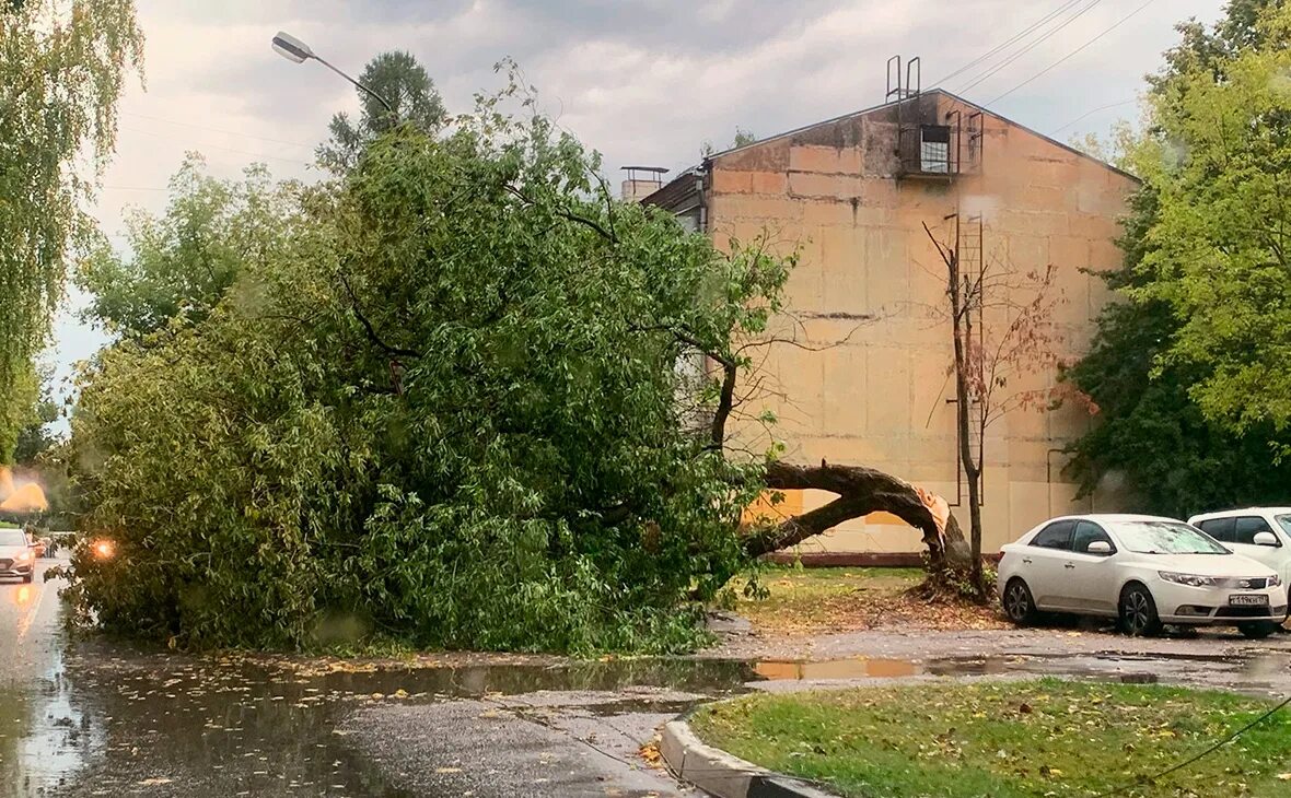 Ураган в Москве 17 сентября 2020. Сильный ветер в Москве. Сильный ветер в Подмосковье. Сильный ураган в Москве.