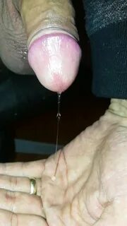 Precum Training: Free HD Videos HD Porn Video 6b - xHamster xHamster.