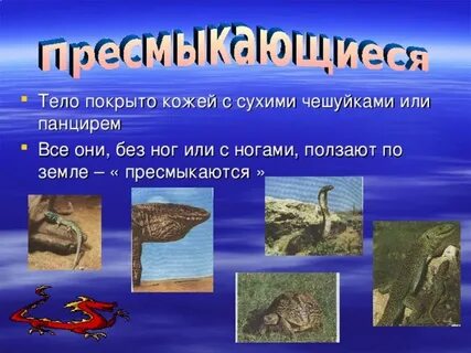 Организмы на суше