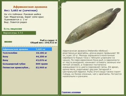 Рыбы в зависимости от размера