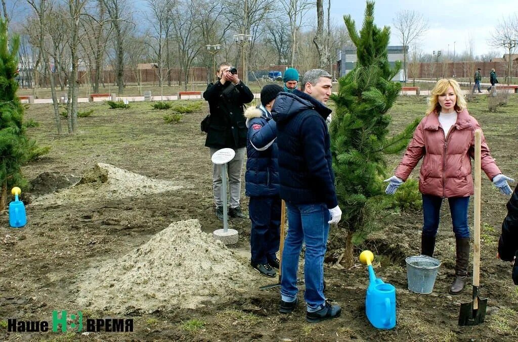 Подработка левом берегу. Парк Левобережный Ростов аллея. Директор парка Левобережный. Спортивная аллея. Парк аллея спортивной славы.