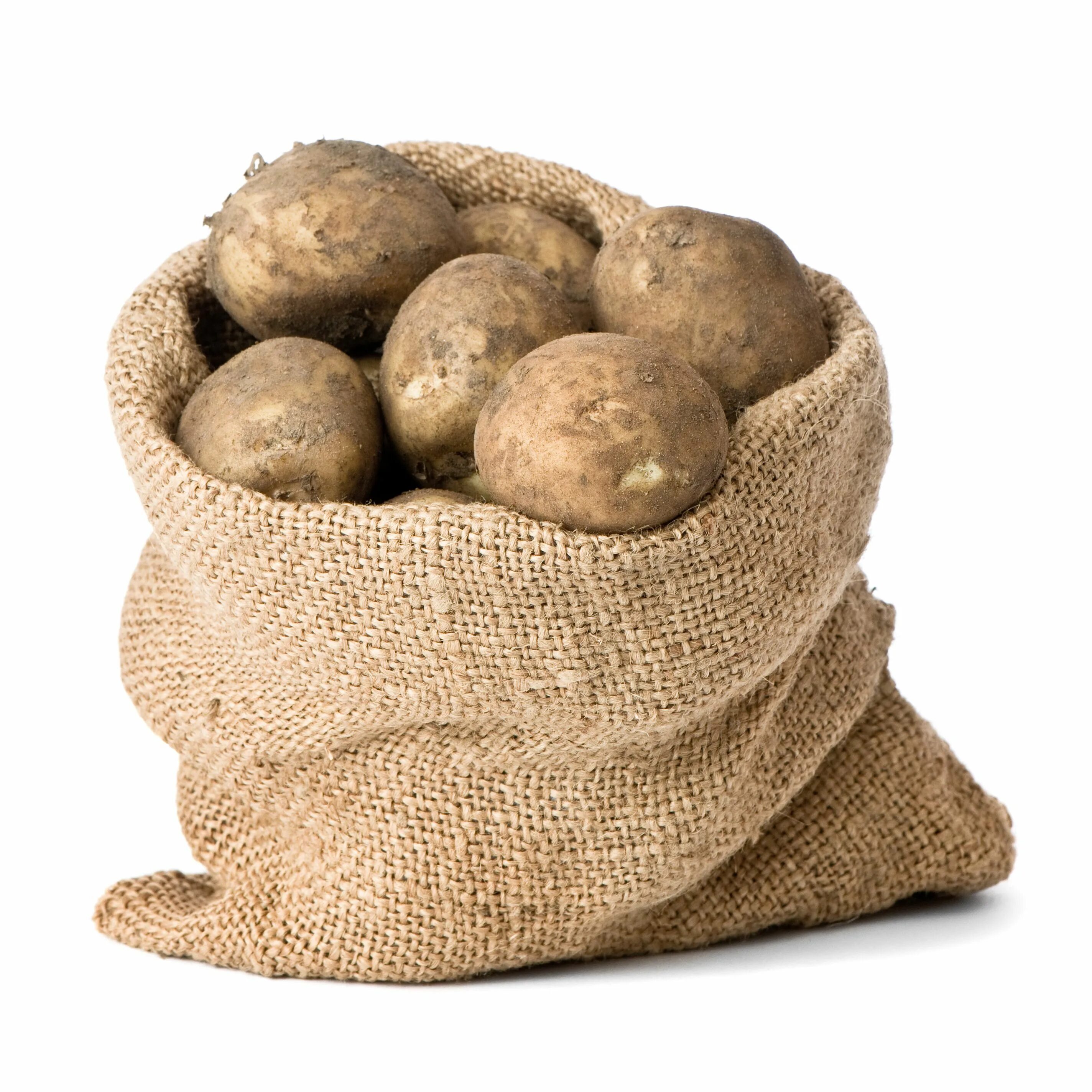 Сколько картофеля в 1 мешке