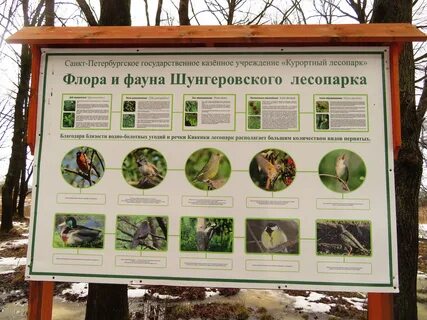 Информационный санкт