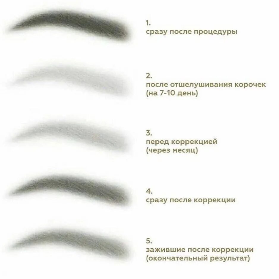 этапы заживления перманентного макияжа по дням. этапы заживления перманентного макияжа по дням. этапы заживления перманентного макияжа бровей. этапы заживления перманентного макияжа по дням. стадии заживления перманентного макияжа бровей.