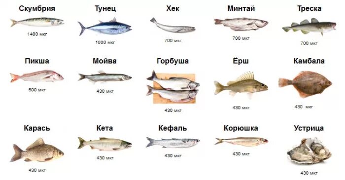 Кальций в какой рыбе. Рыба содержание фосфора в рыбе. Сколько кальция содержится в рыбе. Содержание кальция в рыбе. Рыба с большим содержанием кальция.