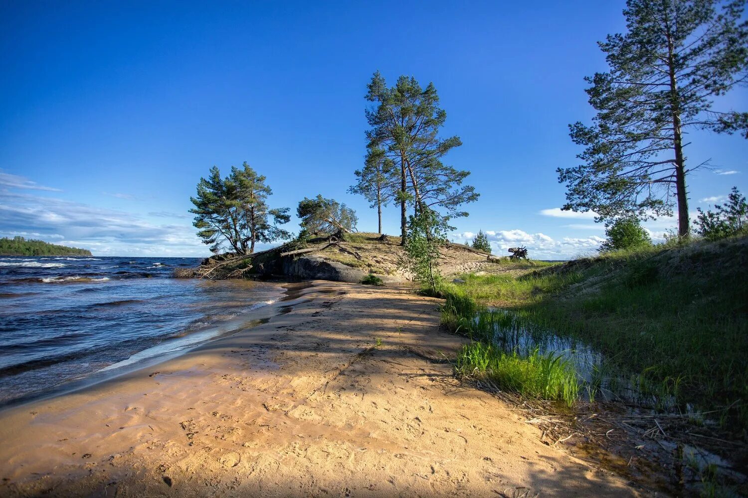 Песчаный берег озера. Берег Онежского озера, Карелия. Вытегра берег Онежского озера. Озеро Онега Карелия. Онега Онежское озеро.