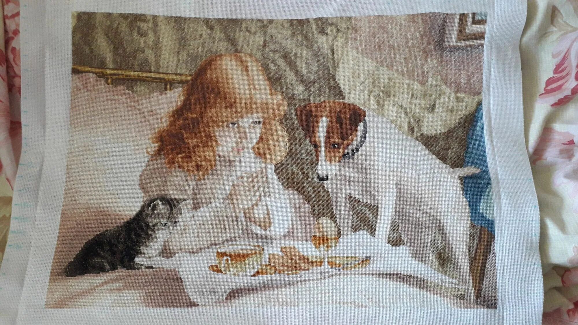 Золотое руно белые розы отшив. Золотое руно 8 11. Золотое руно 8 11. Золотое руно букет белых роз. Золотое руно веселая игра.