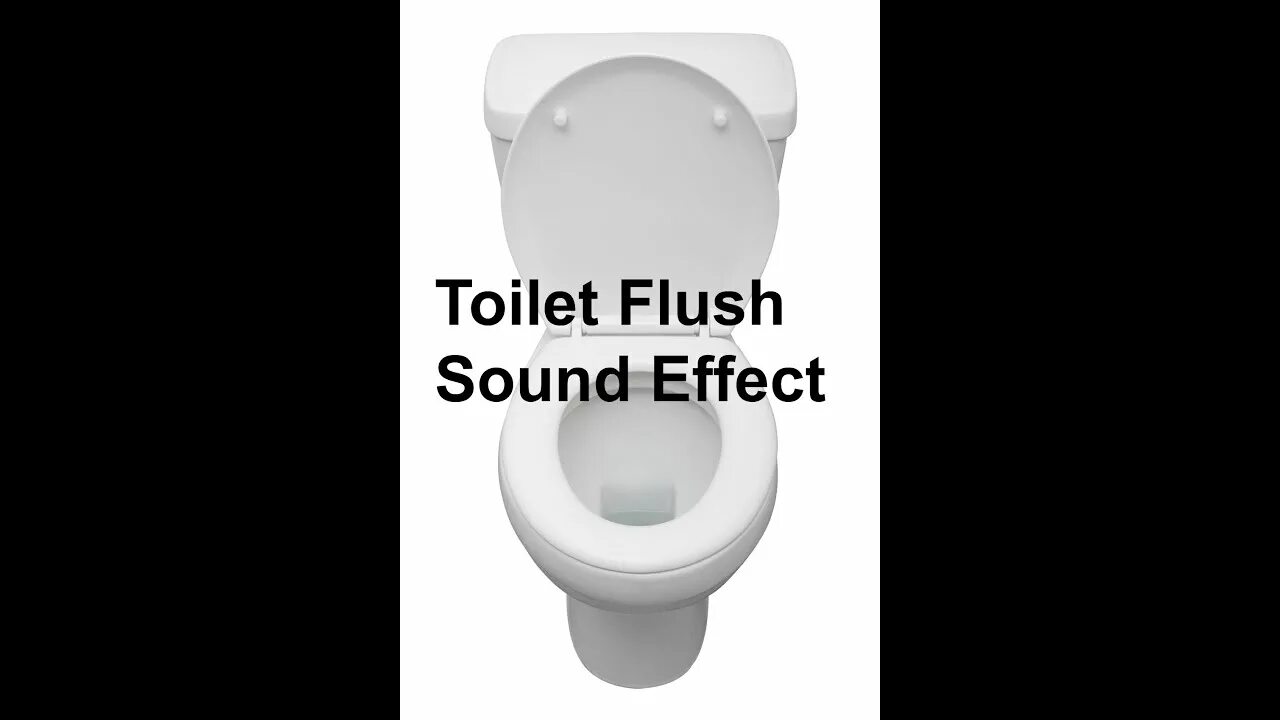 Звук унитаза. Накопители унитаза со звуком. Унитаз обои на телефон. Toilets sounds