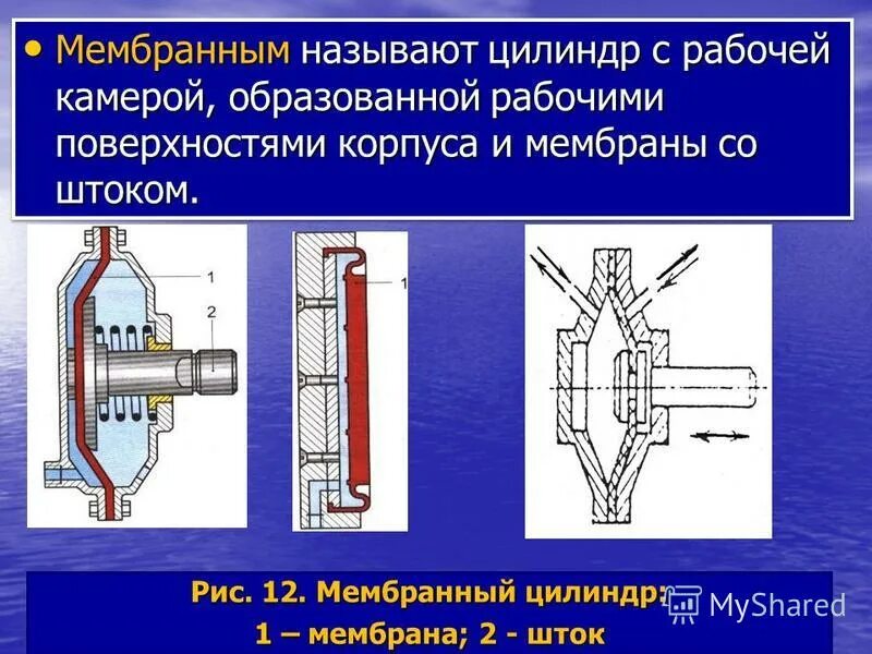 Система уплощенных мембранных цилиндров. Установите соответствие между органоидами клетки и их функциями. Система уплощенных мембранных цилиндров. Аппарат комплекс гольджи строение и функции кратко. Система цистерн и трубочек.