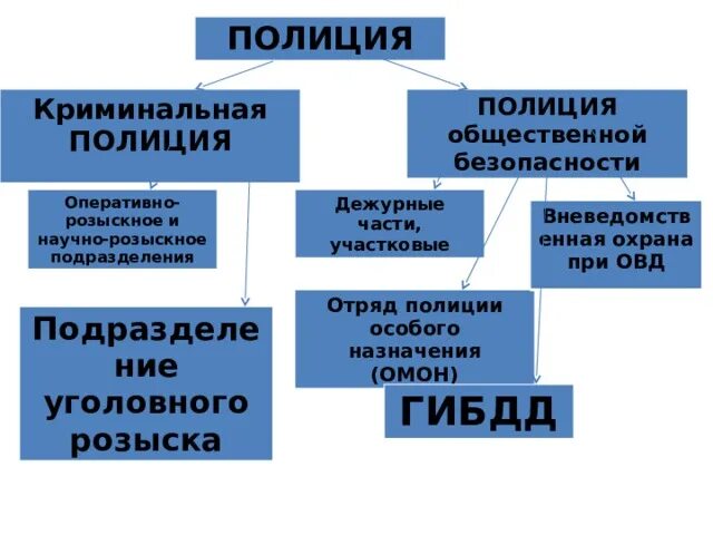 Функции общественной полиции. Криминальная полиция и полиция общественной безопасности. Структура полиции общественной безопасности. Структура криминальной полиции. Подразделения криминальной полиции.