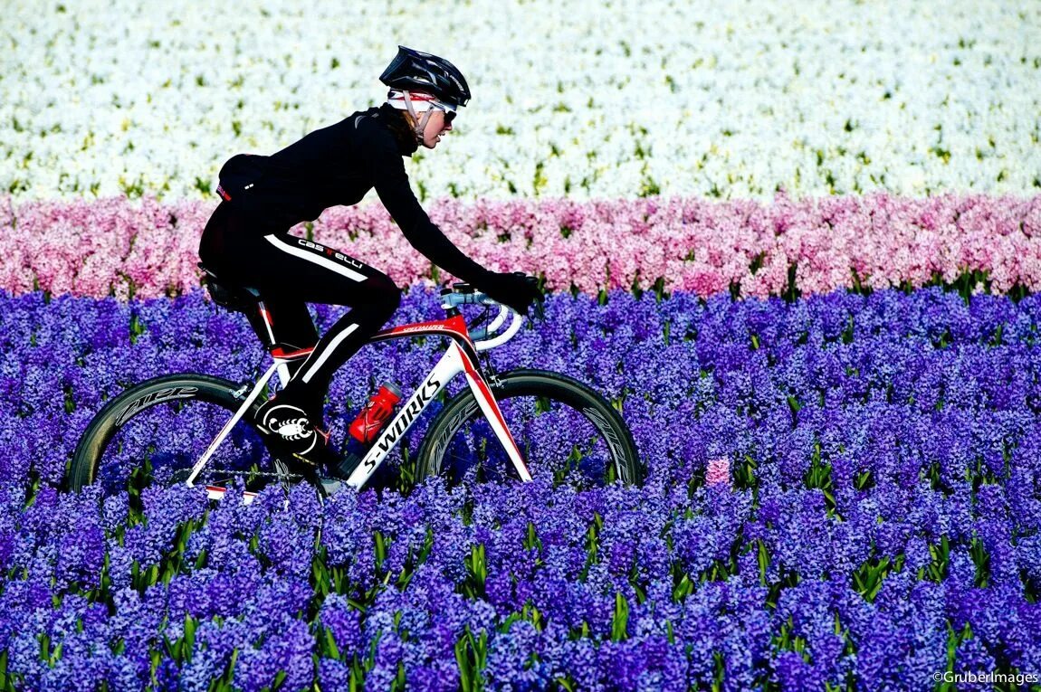 Велосипед в цветах зеленый. Велосипед цветы. Велосипед с цветами. На велосипеде весенние цветы. Цвета велосипедов.