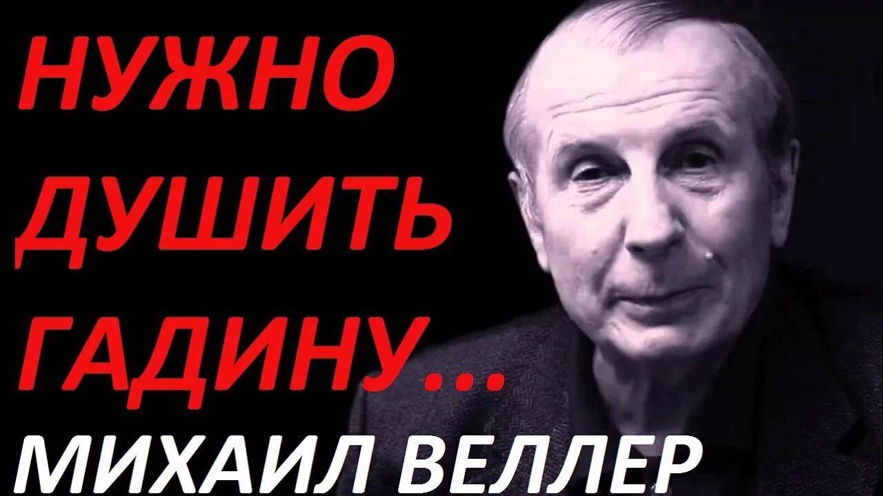 Веллер идиоты. Веллер последнее. веллер подумать только.