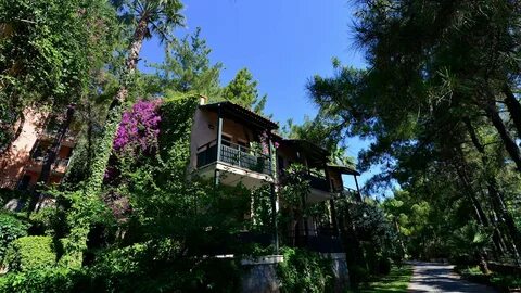 Grand yazici marmaris отзывы
