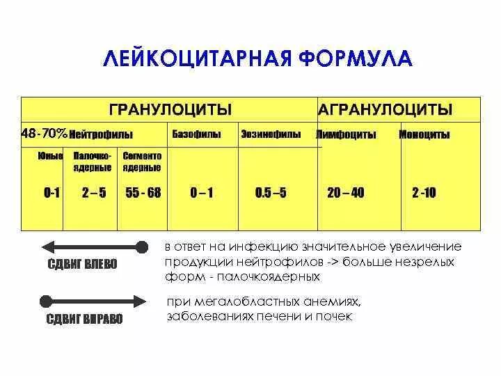 Лейкоцитоз сдвиг формулы. Сдвиг лейкоцитарной формулы вправо. Сдвиг вправо и сдвиг влево лейкоцитарной формулы. Смещение лейкоцитарной формулы влево. Сдвиг в сторону нейтрофилов лейкоцитарной формулы.