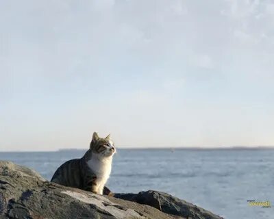 А что ты ждешь от этого лета