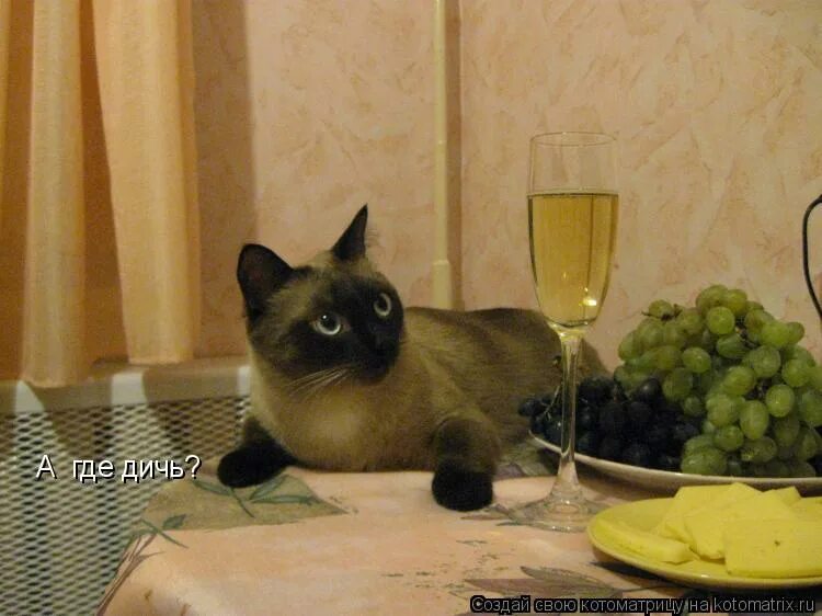 Я пить не буду. Совсем не пьете. Потом меня в этом пледе в трех. Я вообще не пью. В этом одеяле в трех клубах видели.