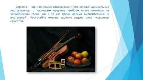 Скрипка относится к инструментам