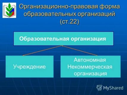 Образовательная организация правовая форма