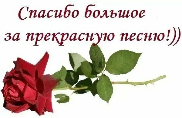 Песня спасибо за что я такой ахуенный. Спасибо очень понравилось. Прекрасные стихи. Благодарю за красивые стихи. Благодарю за прекрасные слова.