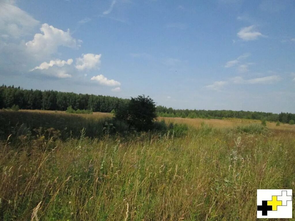 9 га. 2900 участок. обычная гора у деревни мытник. куплю 9 га д.ляшково. продажа участка 2 гладкая ростов.