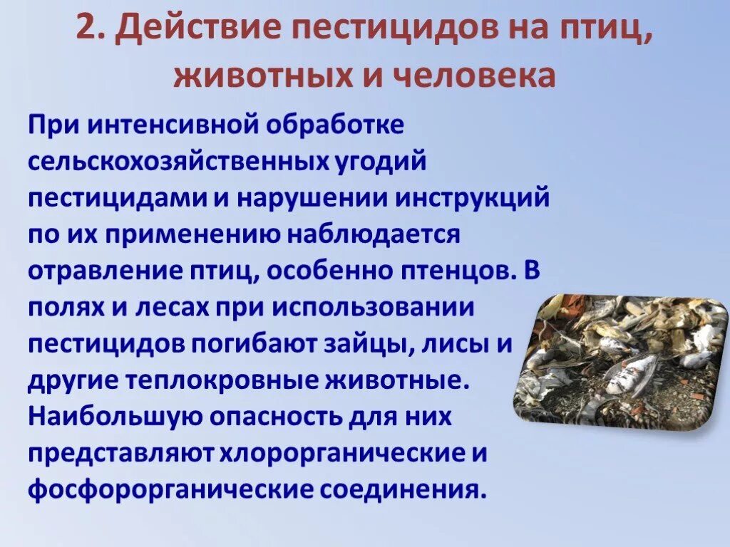 Влияние пестицидов на животных. Пестициды презентация. Влияние пестицидов на организм животных. Влияние пестицидов на окружающую среду. Влияние пестицидов на вредителей растений