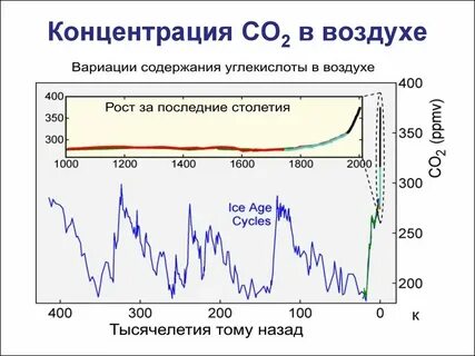 Зависимость концентрации углекислого газа от времени