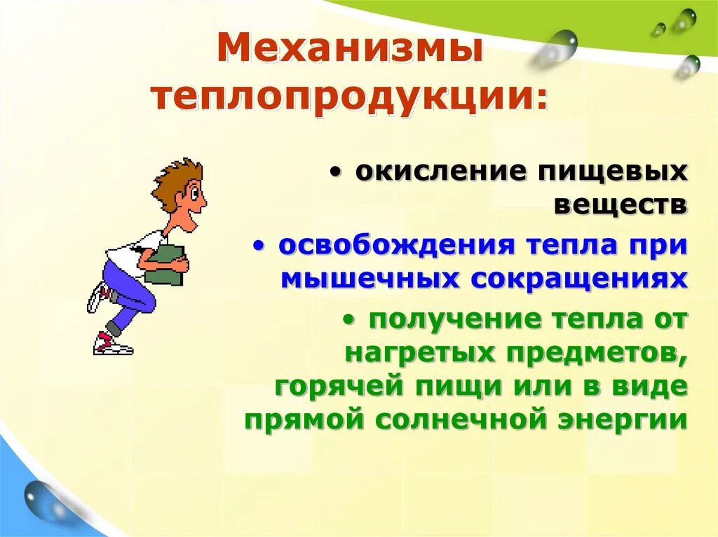 2 теплопродукция. Механизмы теплопродукции. механизмы теплопродукции физиология. механизмы усиливающие теплопродукцию. теплопродукция ее основные механизмы.