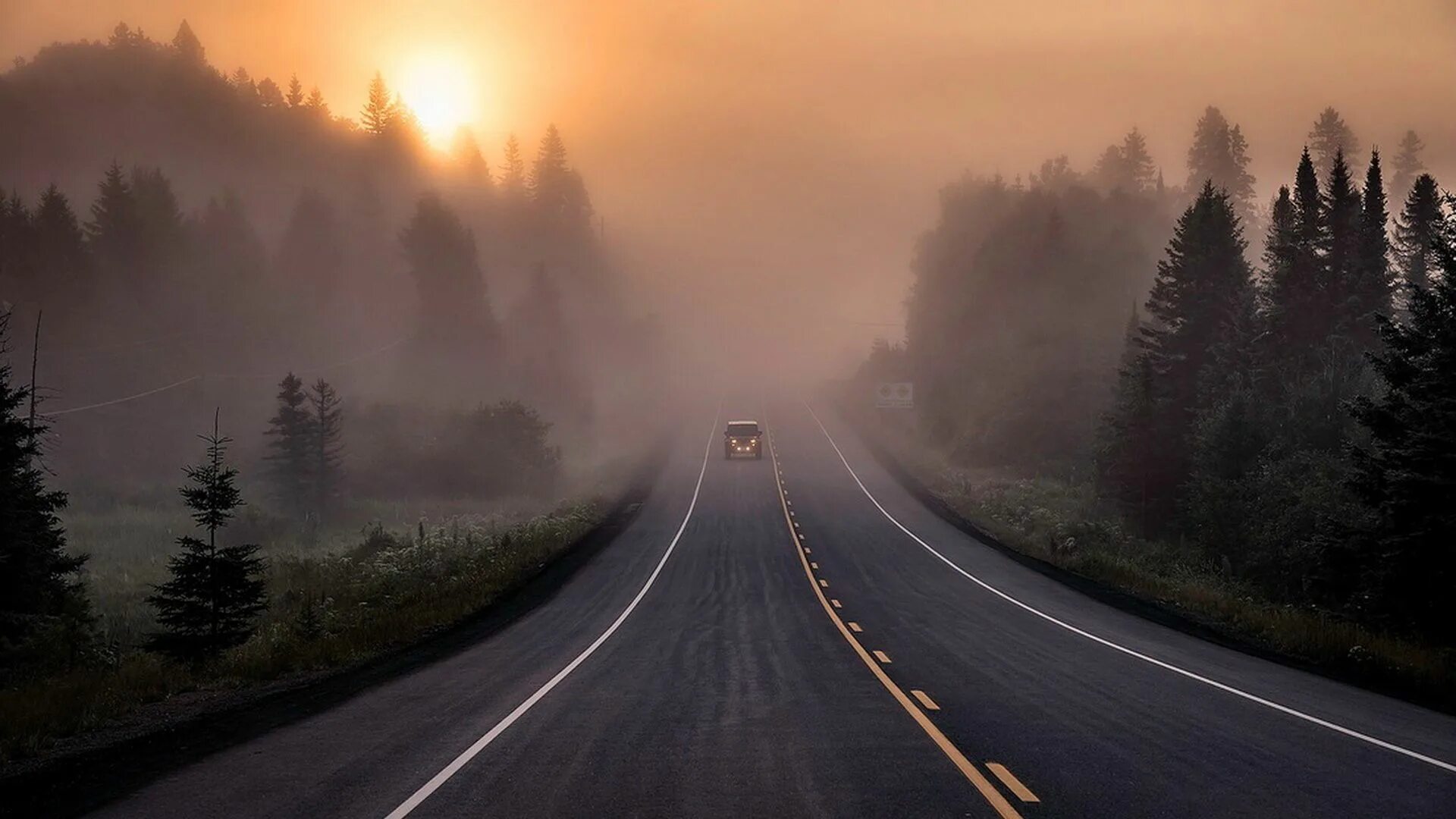 Далекий выглянуть. Дорога в тумане. Дорога в даль. Туман на трассе. Красивые дороги.