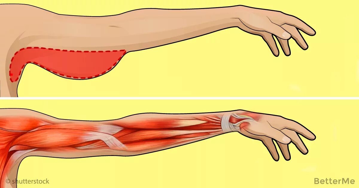 Почему дергается плечо. Мышцы руки. Самопроизвольное подергивание мышц.