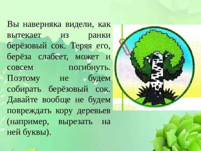 Сообщение об охране природы. Проект защита природы. Проект охрана природы. Окружающий мир охрана природы проекты. Охрана природы доклад.