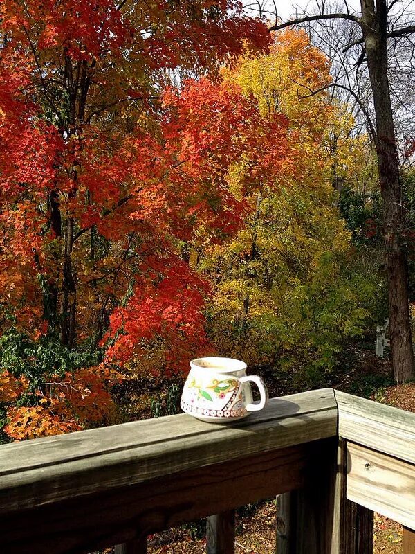 Однажды осенним утром. Осеннее чаепитие. Чай в осеннем саду. Утро в осеннем саду. Кофе в осеннем саду.