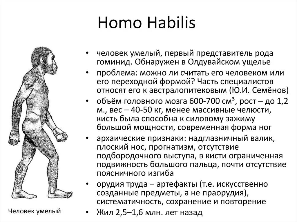 Homo habilis характеристика. Человек умелый хомо хабилис. Человек умелый характеристика. Хомохабтлис характеристики. Первые представители рода человек