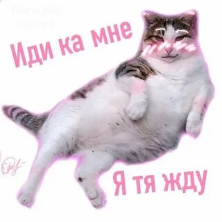 Пошло милые