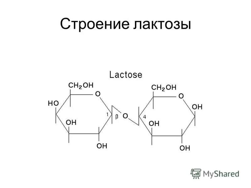 Химические свойства лактозы