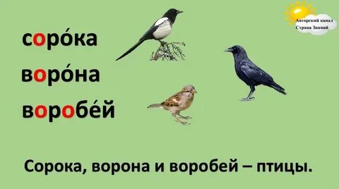 Ворон и сорока рабочий лист