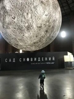 Сад сновидений