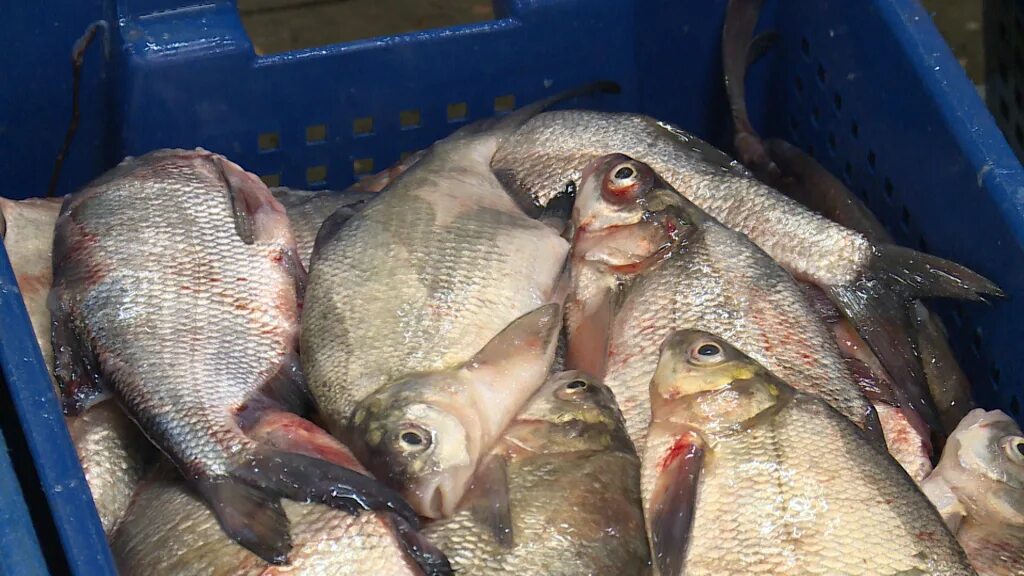 LA Eats: Seafood Rodeo Realty