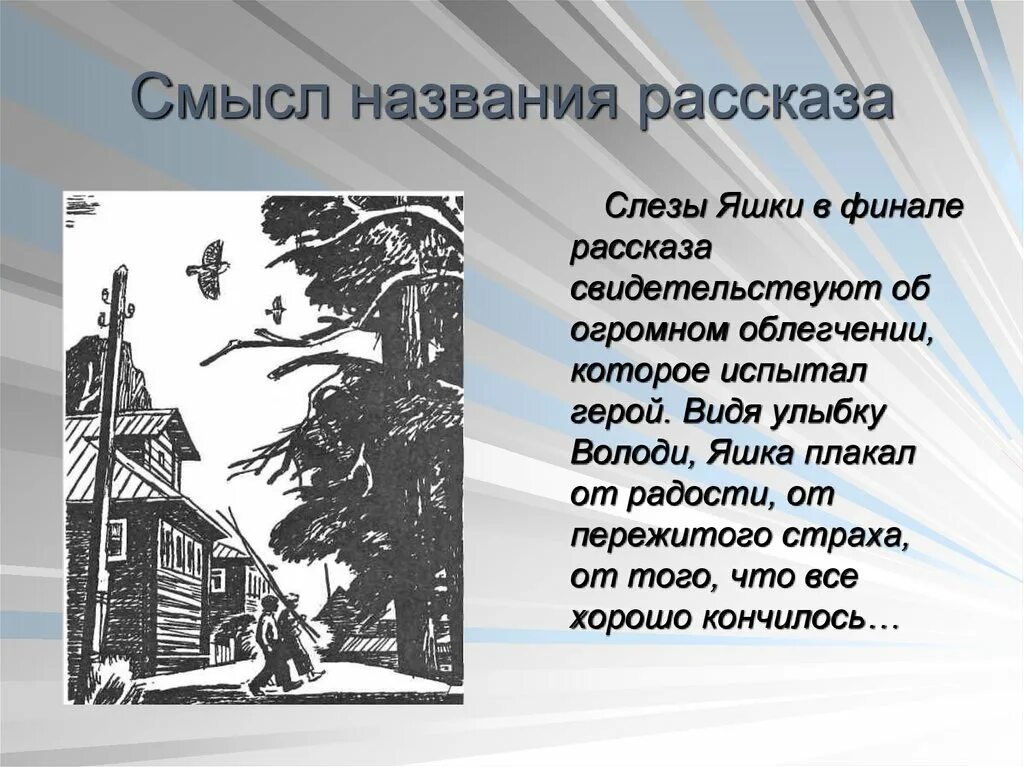 В чем смысл данного произведения. Ю Казаков тихое утро. Рассказ ю.Казакова "тихое утро". Рассказ тихое утро Казаков.