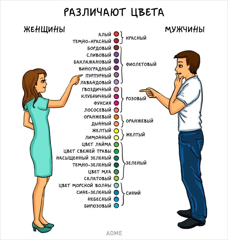 Какой цвет нравится девушкам. Восприятие цветов мужчинами и женщинами. цвета мужчины и женщины. мужчина и женщина различают цвета. различие цветов у мужчин и женщин.