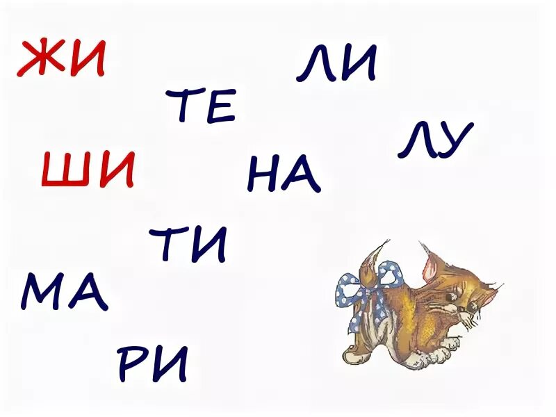 Жи ла