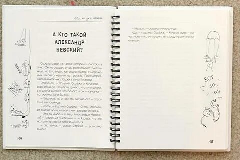 Записки о скизи дзен последние