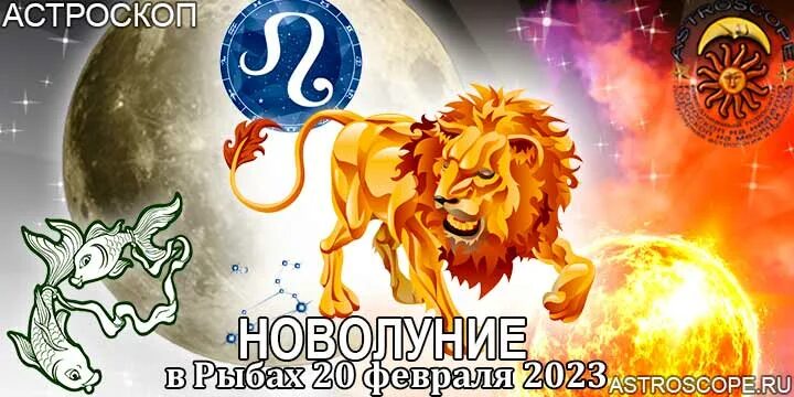 Гороскоп лев женщина на 2024 самый точный. Гороскоп "Лев". Лев в 2023 году. Лев 2024. 20 Февраля Зодиак.