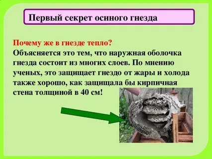 Не семейка а осиное гнездо угораздило